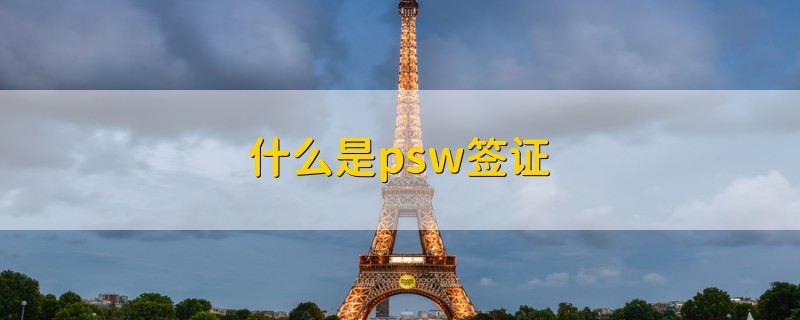 什么是psw簽證