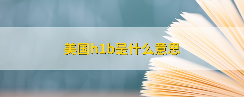 美國(guó)h1b是什么意思