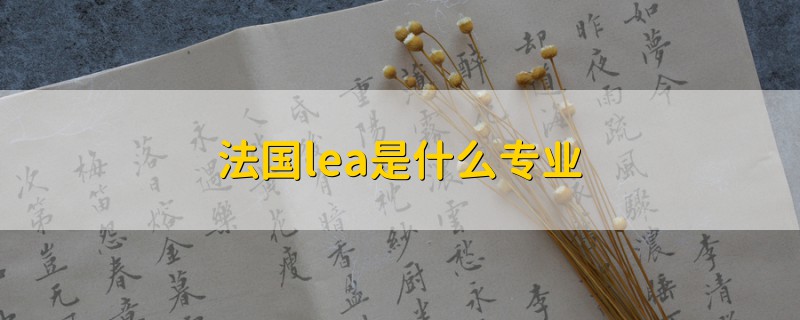 法國(guó)lea是什么專業(yè)