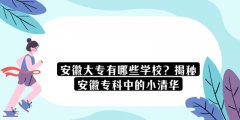 安徽大專有哪些學(xué)校？揭秘安徽專科中的小清華